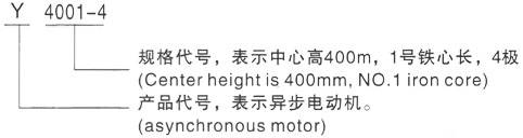 西安泰富西玛Y系列(H355-1000)高压YE2-200L1-2三相异步电机型号说明