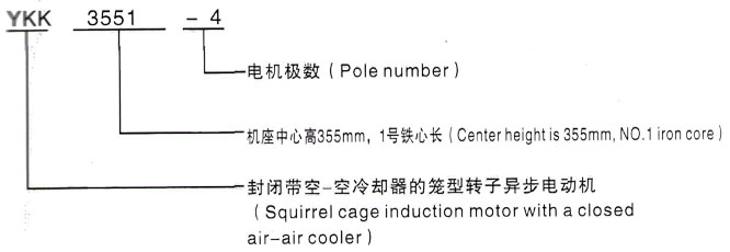 YKK系列(H355-1000)高压YE2-200L1-2三相异步电机西安泰富西玛电机型号说明